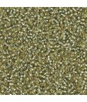 Miyuki Rocailles 11/0 4273 Duracoat® Dyed Semi-Matte Silver Lined Willow